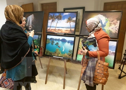 开罗越南文化日：促进两国友好关系